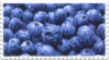 BlueBerries