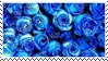 BlueRoses
