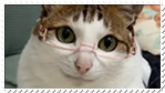 LibrarianCat