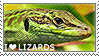 I♥LIZARDS