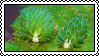 LittleGreenGuys(idk)