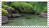 Pond