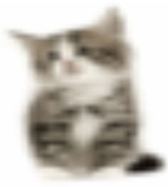 a very low resolution cat