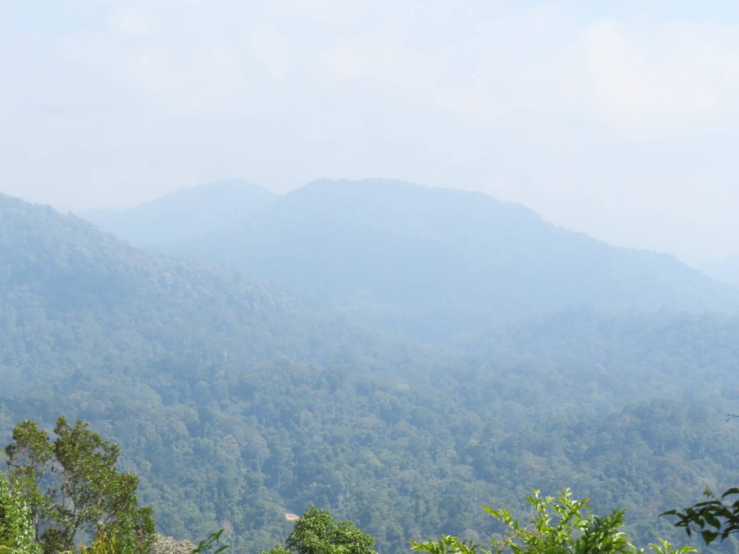 Taman Negara Hike View of hilltop in the distance, faded in clouds