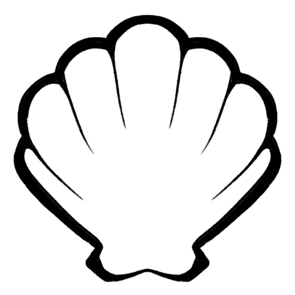 A shell graphic.