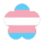 trans man