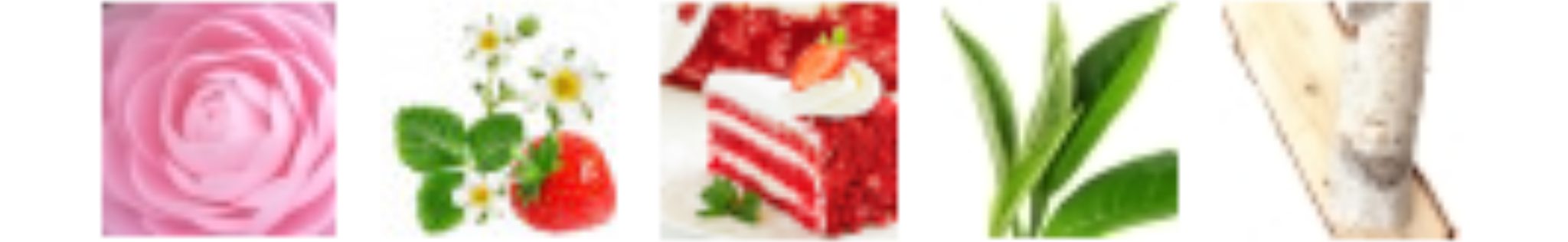 camelia𓈒 ͏͏͏ ͏͏͏ ͏͏͏strawberry flowers𓈒 ͏͏͏ ͏͏͏ ͏͏͏cake𓈒 ͏͏͏ ͏͏͏ ͏͏͏tea𓈒 ͏͏͏ ͏͏͏ ͏͏͏birch𓈒