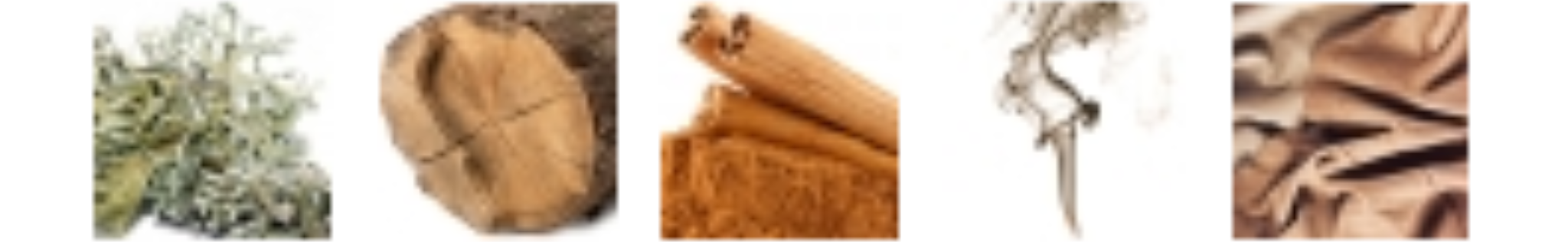 oakmoss𓈒 ͏͏͏ ͏͏͏ ͏͏͏woody notes𓈒 ͏͏͏ ͏͏͏ ͏͏͏cinnamon𓈒 ͏͏͏ ͏͏͏ ͏͏͏incense𓈒 ͏͏͏ ͏͏͏ ͏͏͏leather𓈒