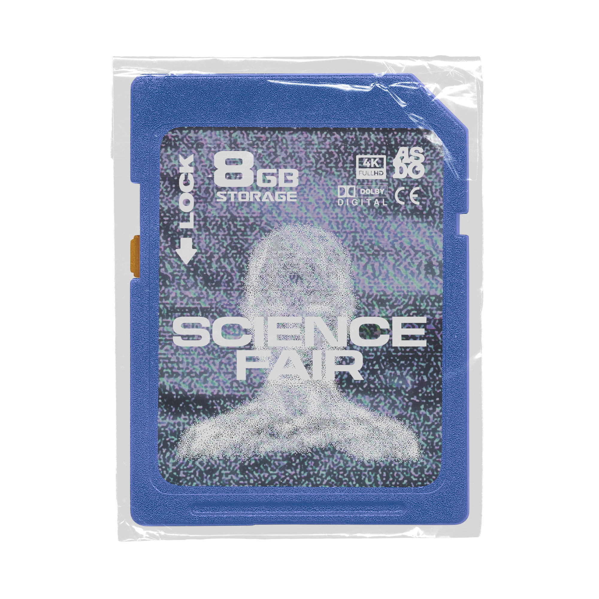 SF SD Card