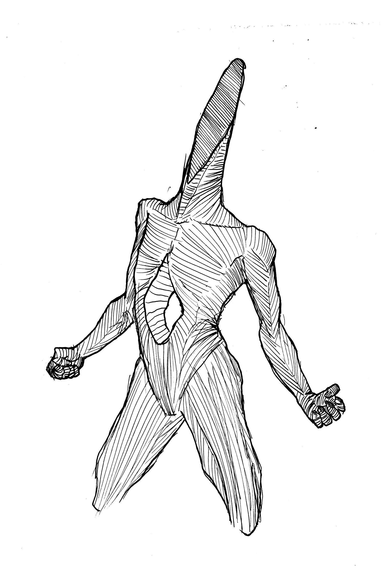'Shaved'<br><br>Little off the top.<br><br>Pen.