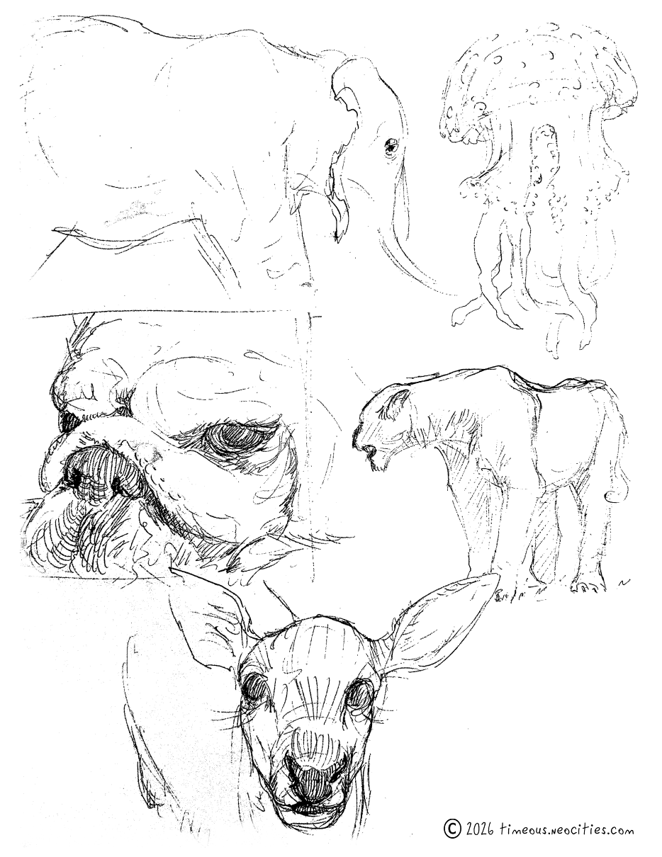 'Assorted Animals 1'<br>Based on photos sourced from <a href=https://quickposes.com/en>quickposes.com</a>. Pen.
