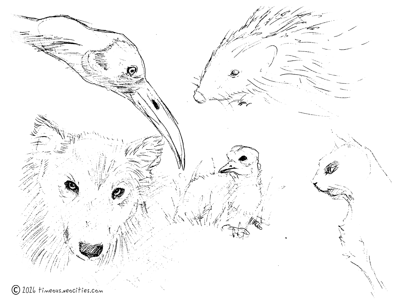 'Assorted Animals 2'<br>More from <a href=https://quickposes.com/en>quickposes.com</a>. Pen.