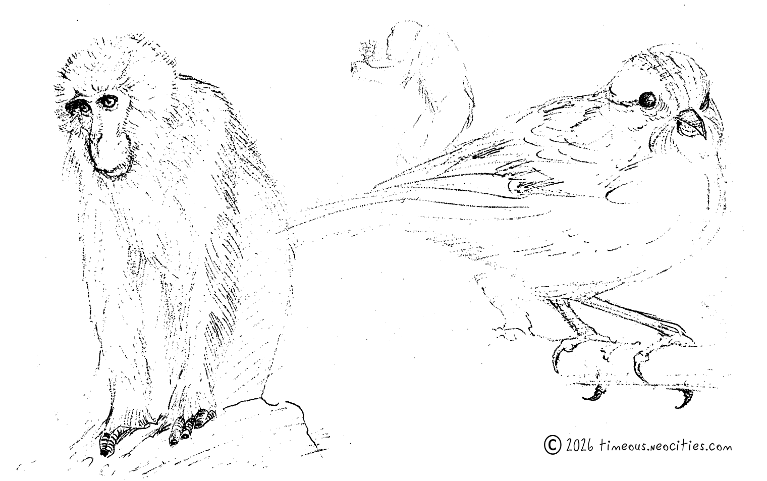 'Assorted Animals 3'<br>Apes and birds are a lot of fun. Pen.