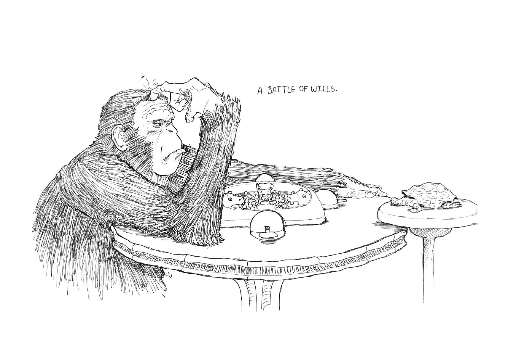 A battle of wills, ape vs turtle in Hungry, Hungry Hippos.