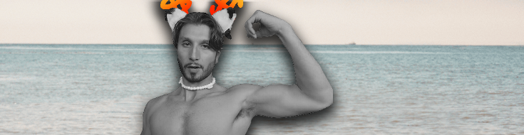 Troll bbno$'s banner