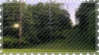 tumblr_2d24f12ab5b262e8092421502c653a41_