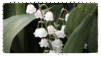 tumblr_b0895e035c70f2f14bf03f2338c82742_
