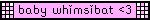 An animated gif with a pink background and a black and rhinestone outline. The text in the middle states [baby whimsy-bat.]