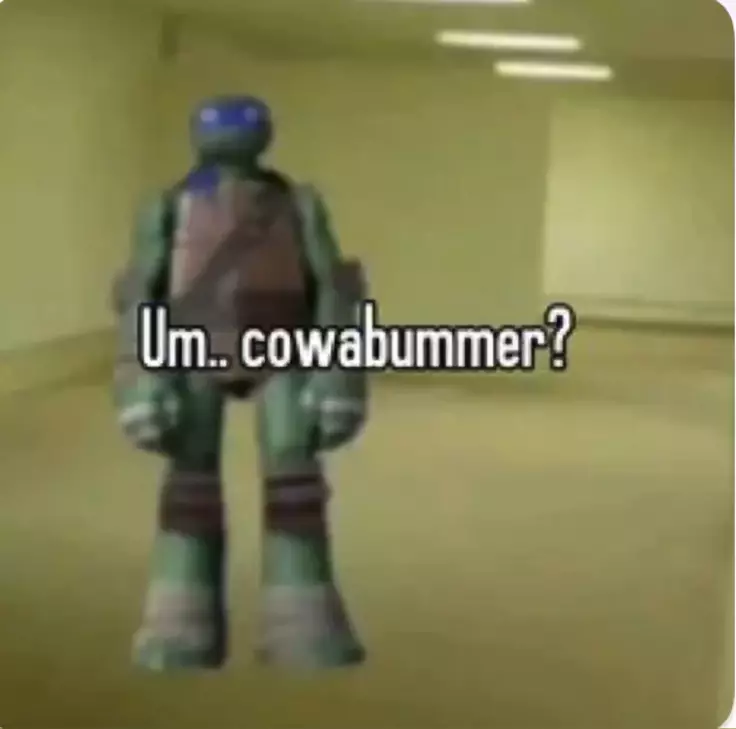 Low quality Freeze-Frame from Teenage Mutant Ninja Turtles (2012) with Leonardo staring into the camera. The caption of the image is [Um... cow-a-bummer?].