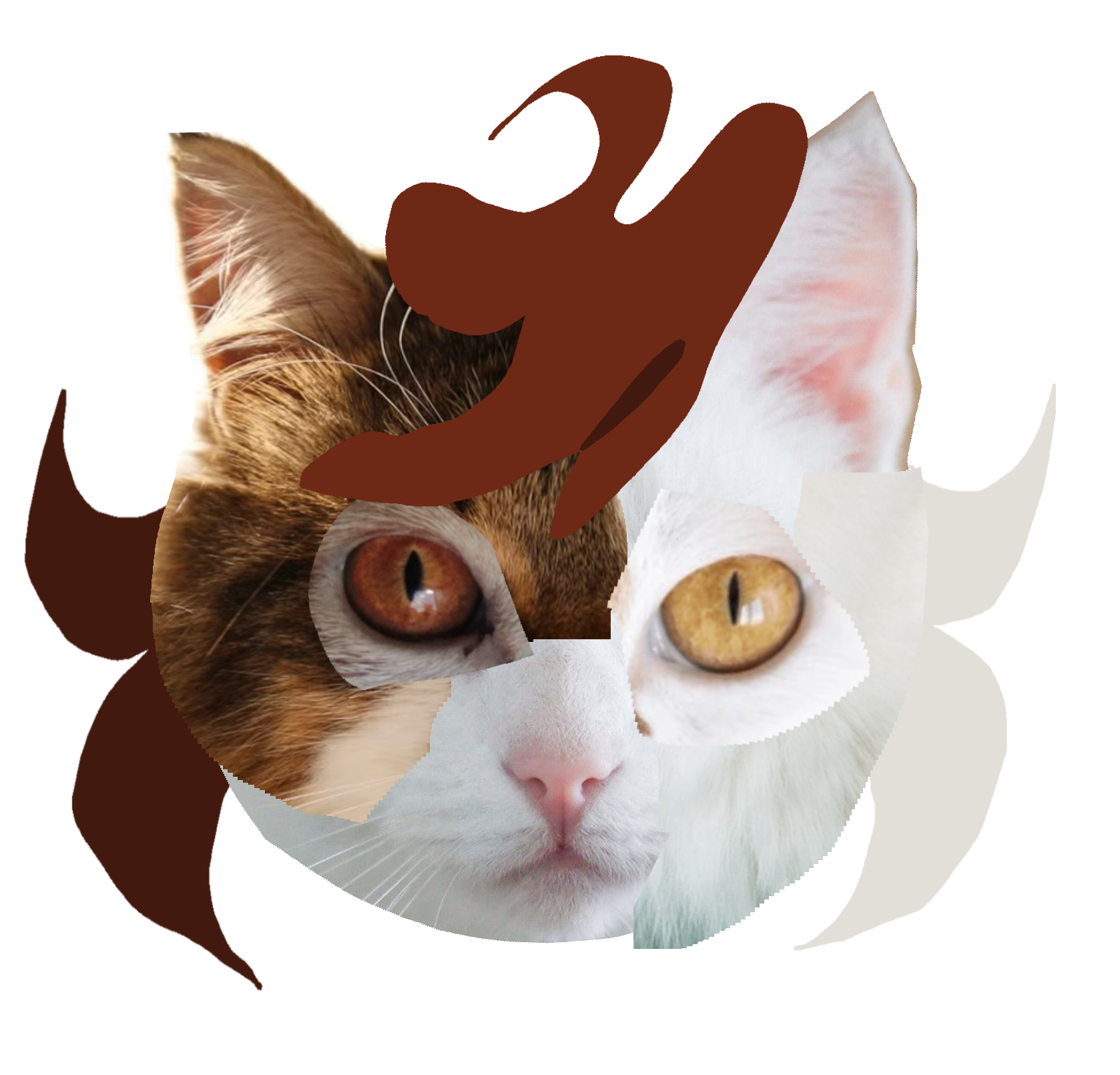 Clemetine Head