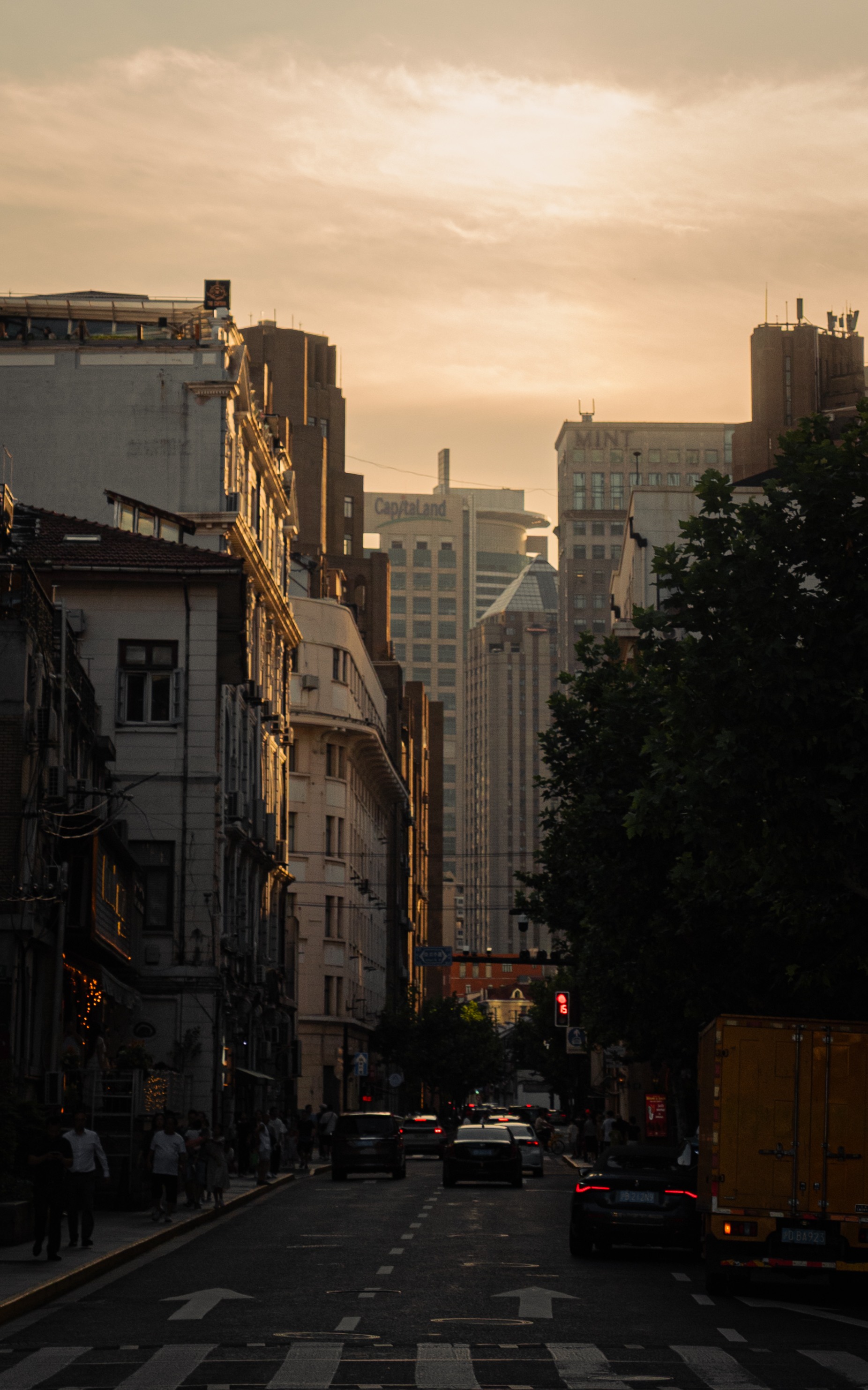 08/03/ - 08/11, 2025