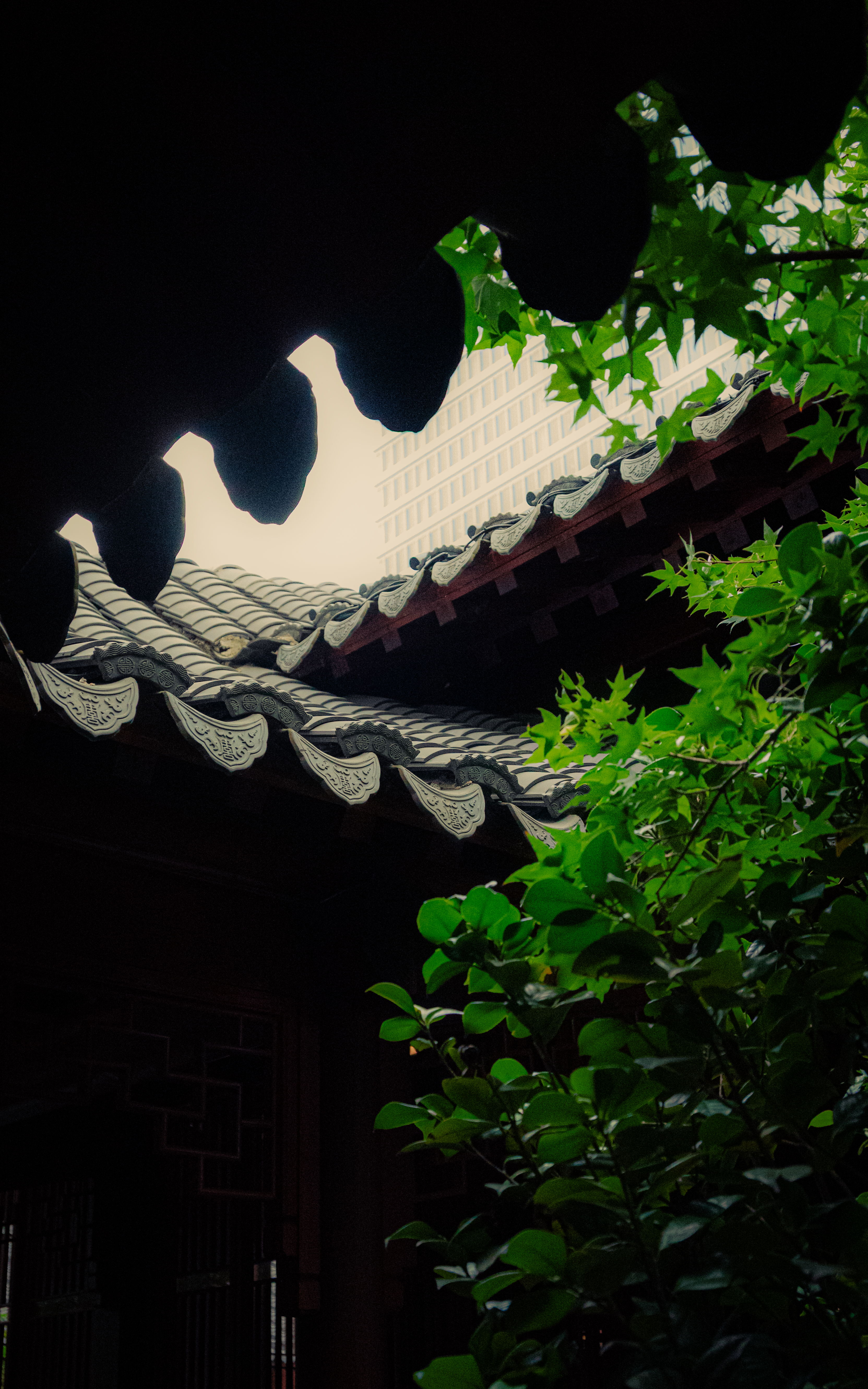 08/03/ - 08/11, 2025