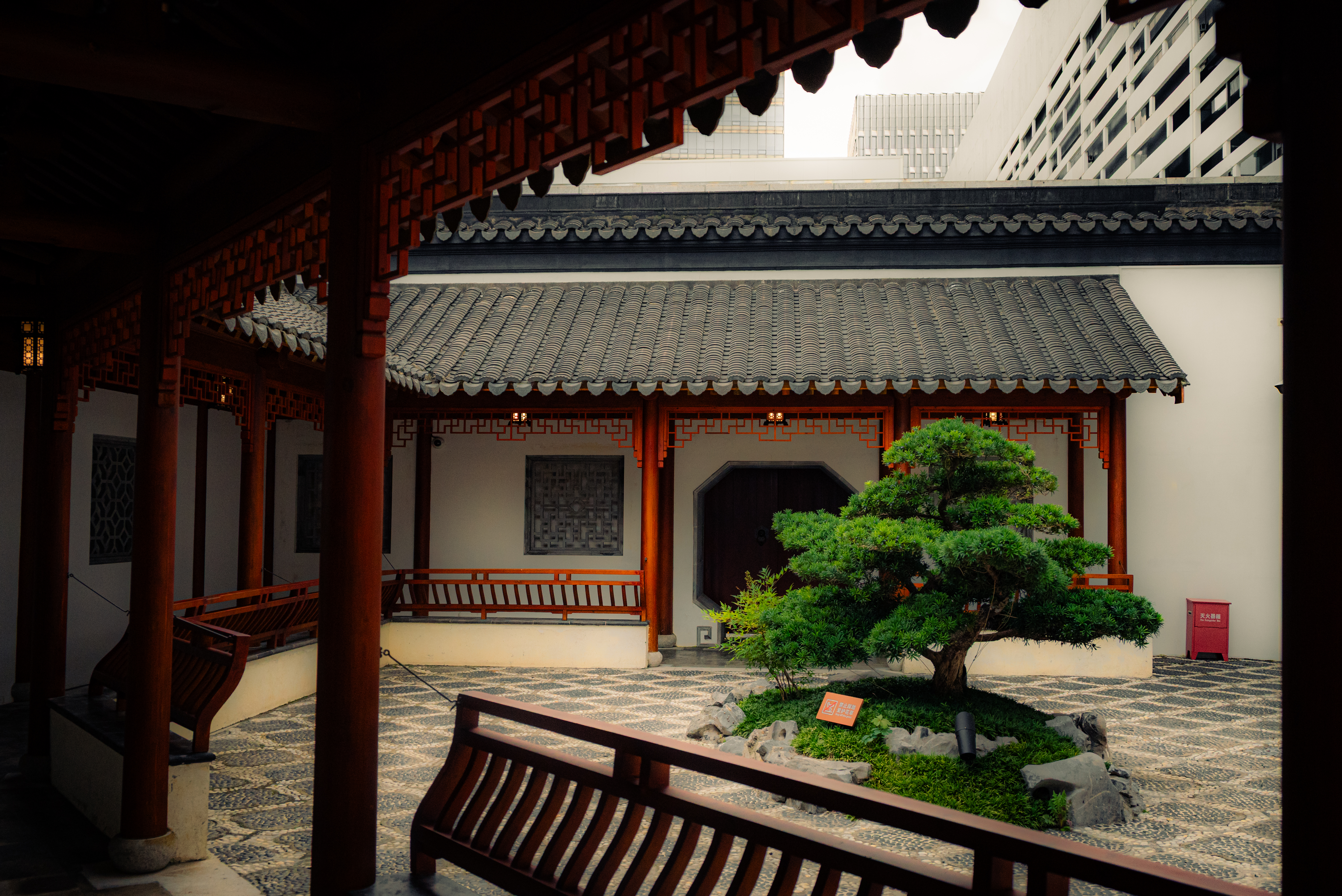 08/03/ - 08/11, 2025