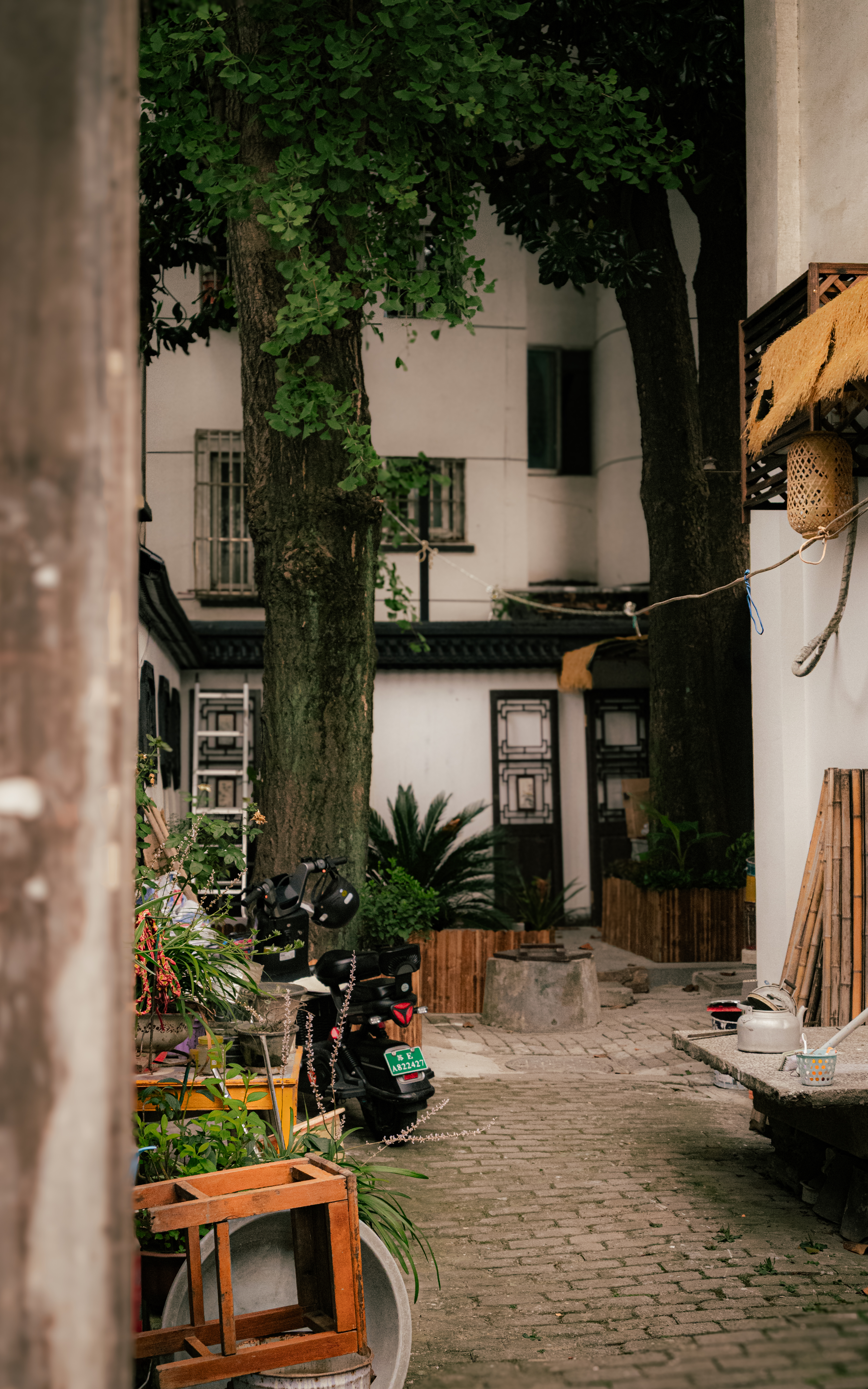 08/03/ - 08/11, 2025