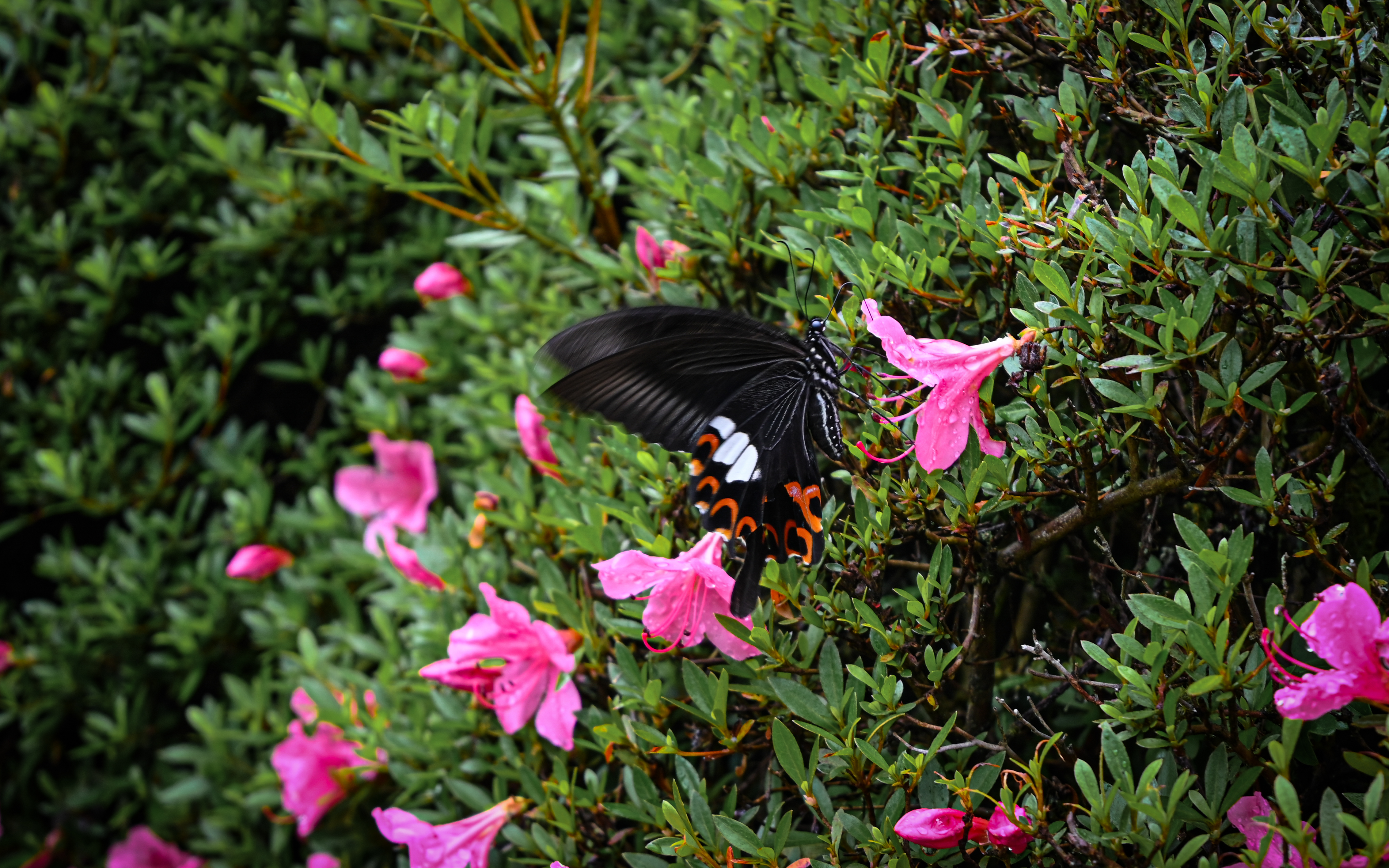 06/13/ - 06/15, 2025