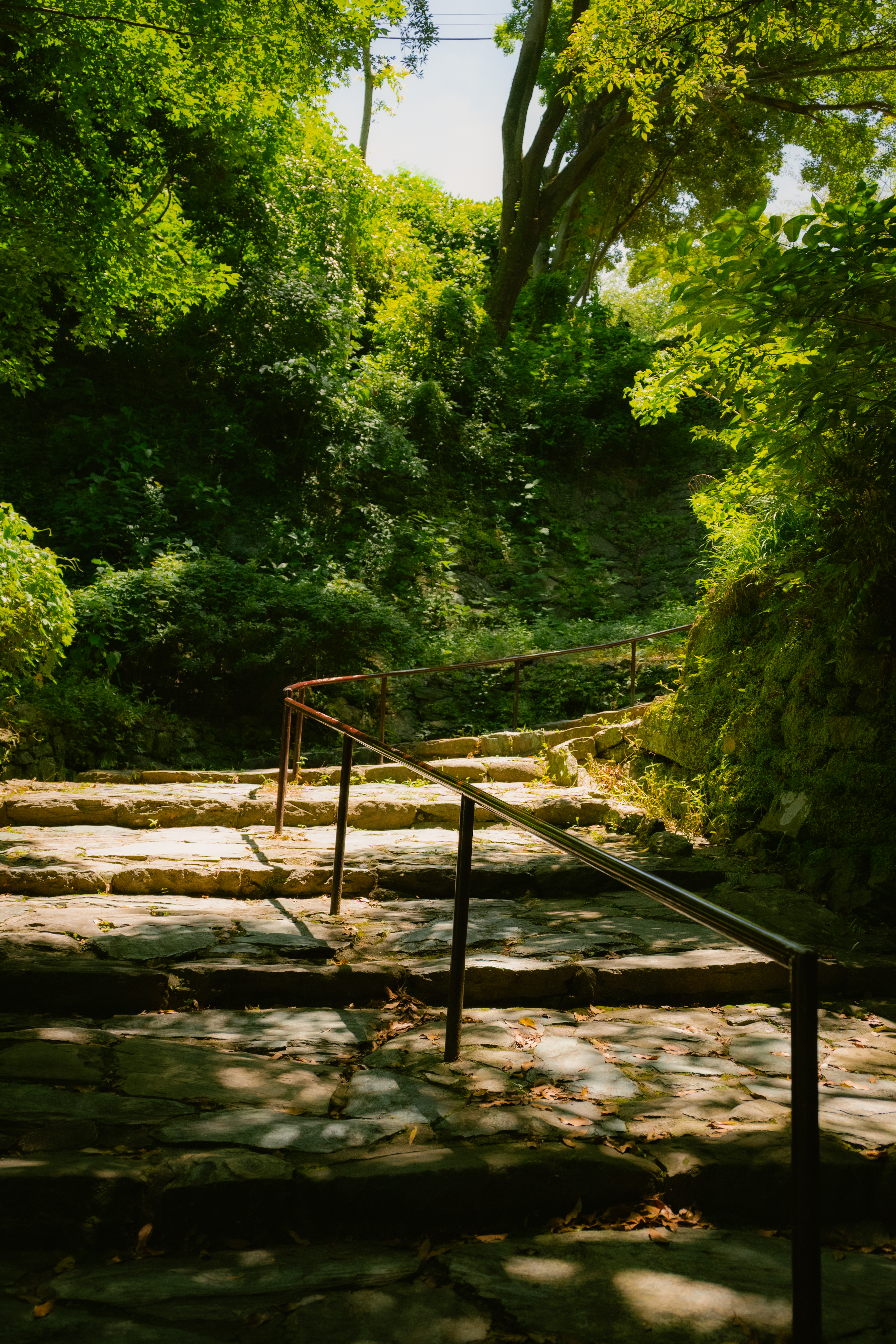 07/19/ - 07/20, 2025