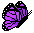 cutie butterfly :3