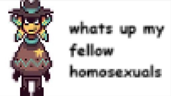 whats UP my fellow homosezuals whats UP my fellow homosezuals