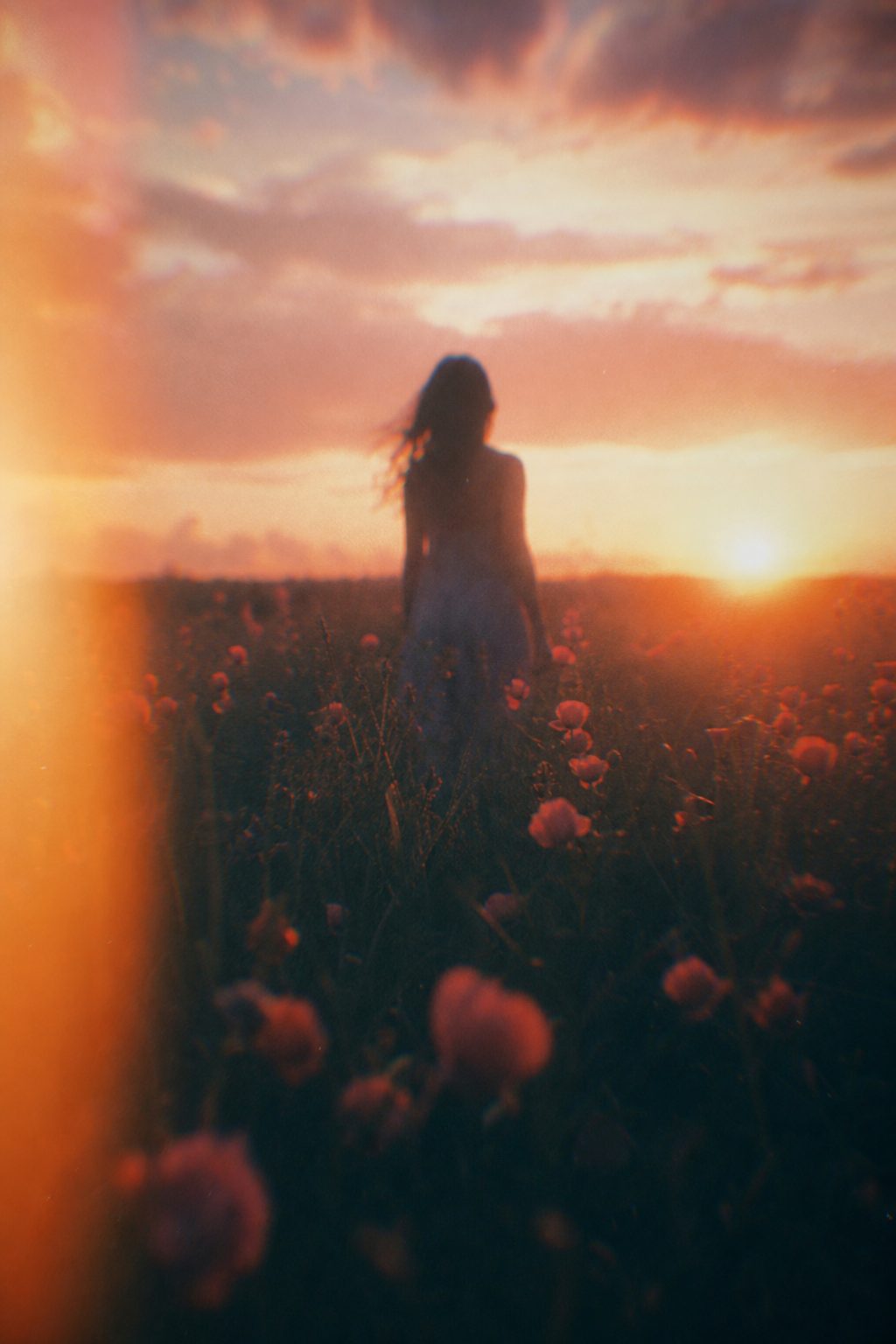 Ethereal Sunset Silhouette in Flower Field