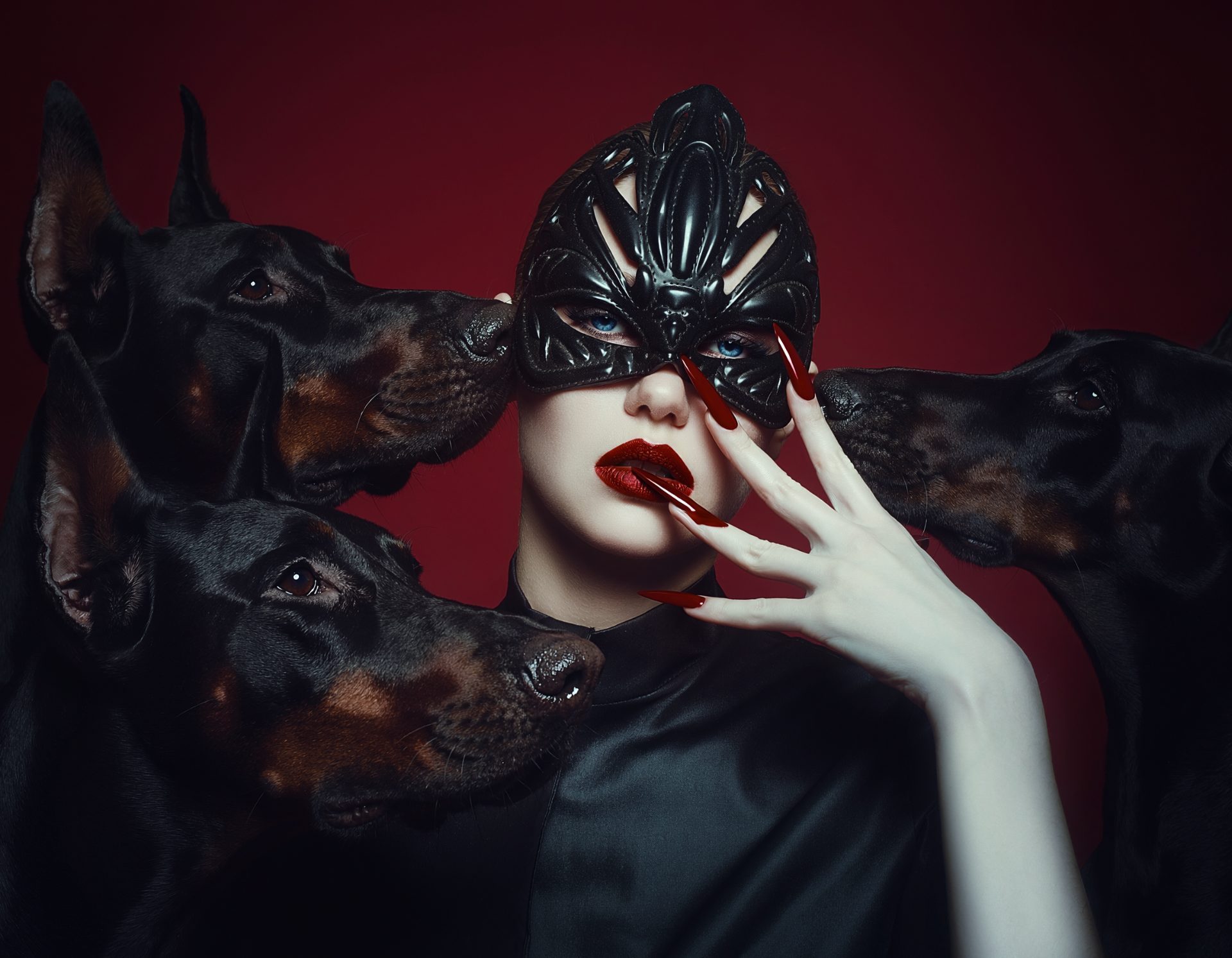 Queen of the Dobermans