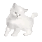 kitty favicon