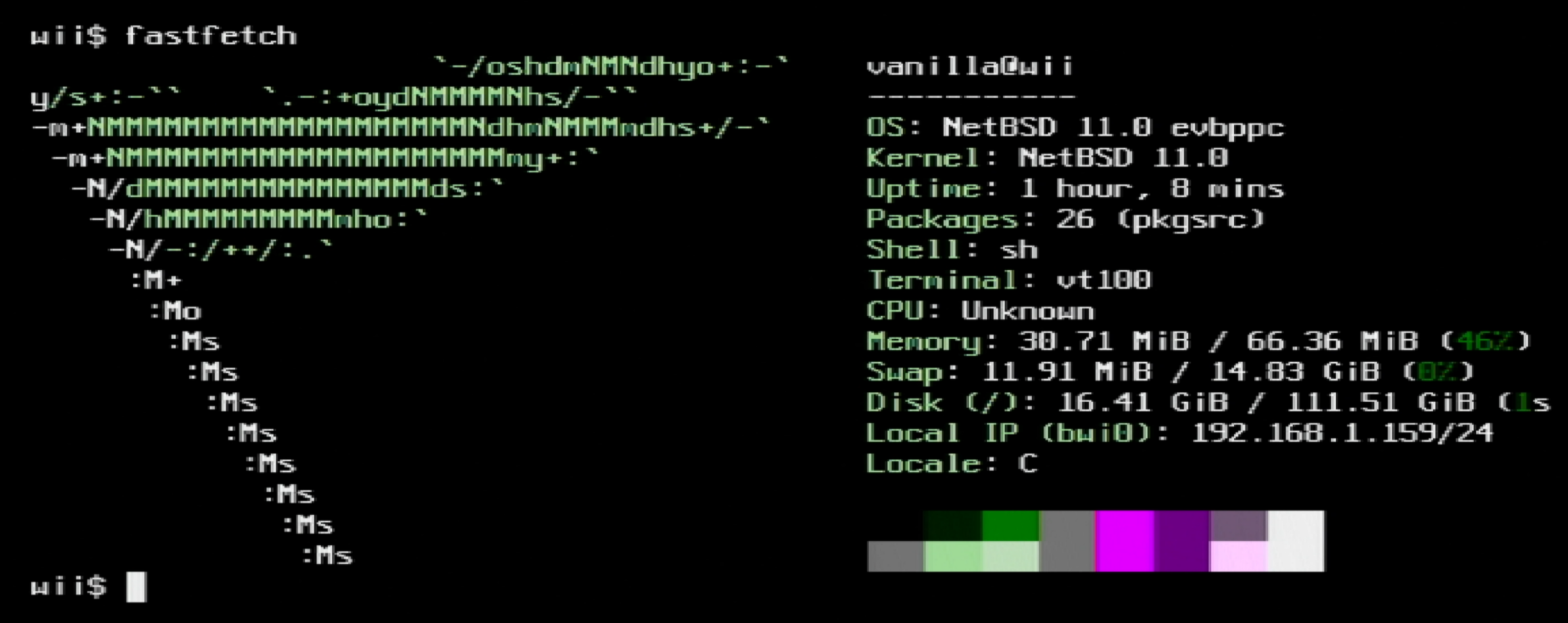 netbsdwii.png