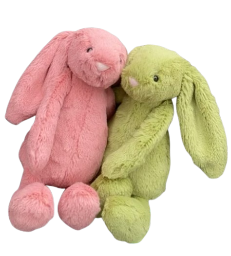 Transparent PNG of green and pink rabbit Jellycats