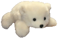/yan