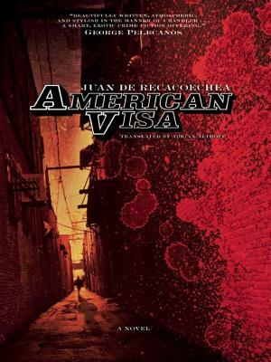 American Visa - Book Cover
