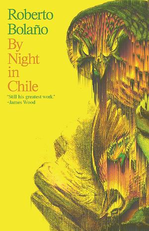 By Night In Chile  - Book Cover