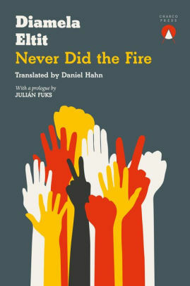 Never Did the Fire - Book Cover