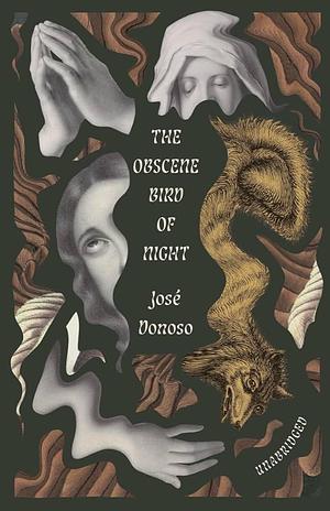 The Obscene Bird of Night - Book Cover