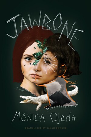 Jawbone - Book Cover