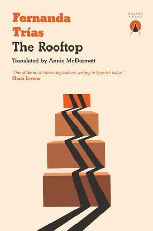 The Rooftop - Book Cover