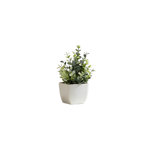 small plant
