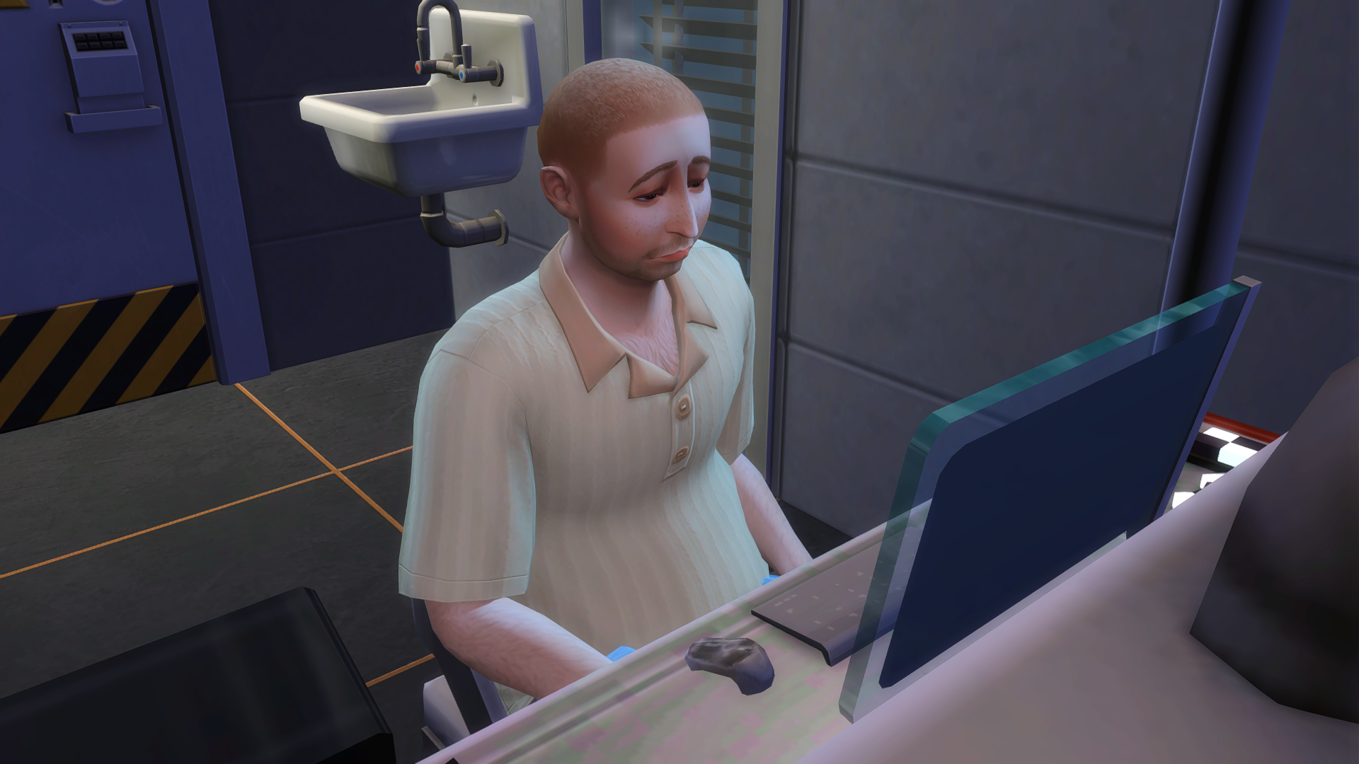 TS4_x64%2006%2016%2013-36-44%20%2048.png