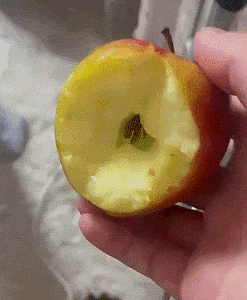 A gif of an apple with a bite taken out of it, to the core, in my hand, rotated around for the camera to see the depth of the bite.