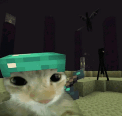 mc-cat