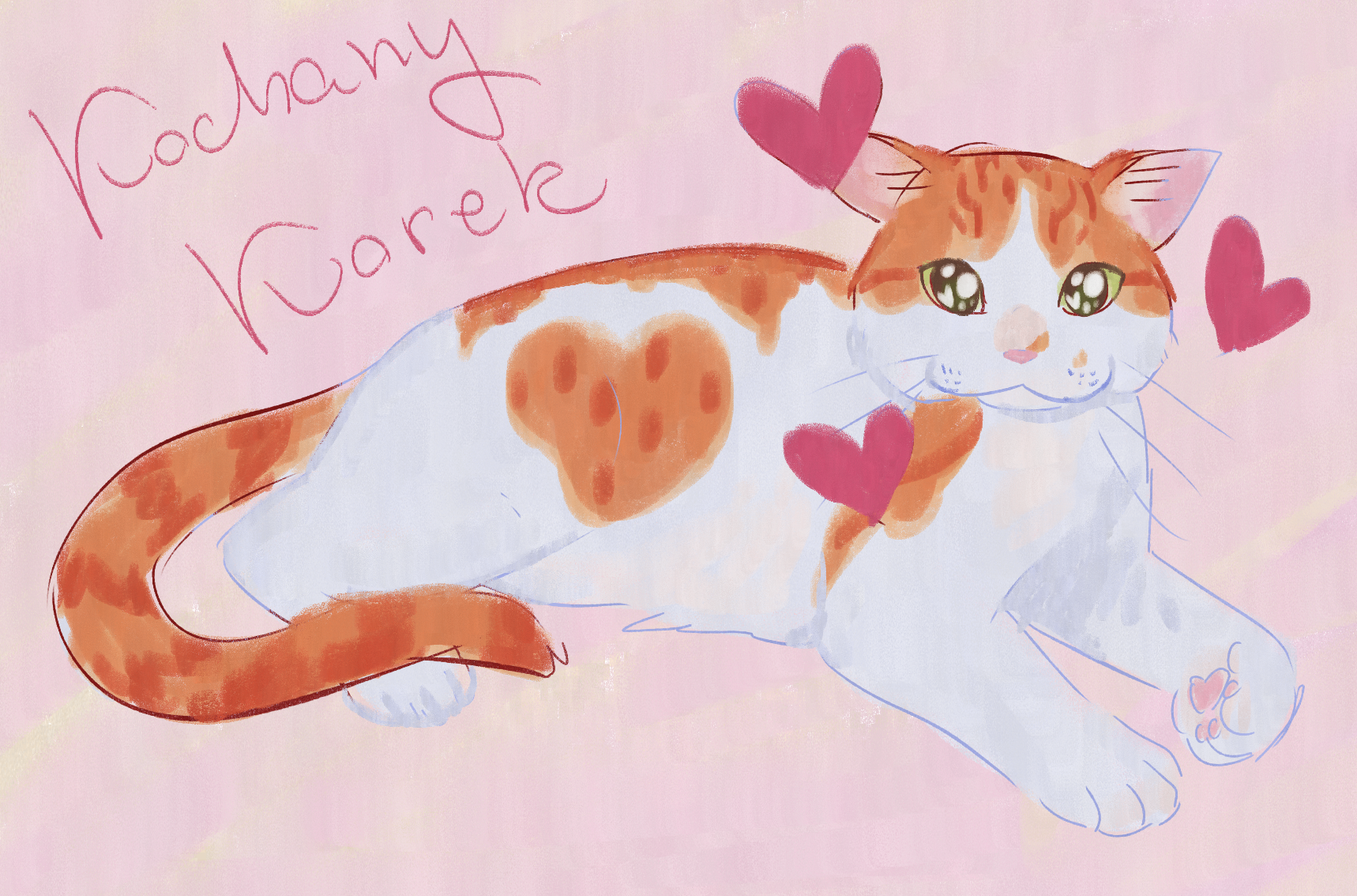 11.07.2026: artfight attack for phed