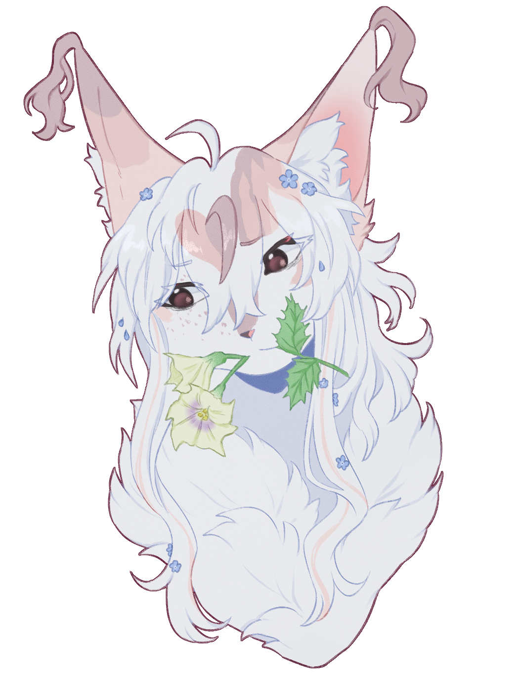 02.07.2026: artfight attack for pliszka
